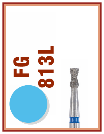 FG 813L