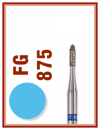 FG 875