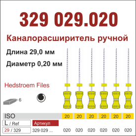 329029.020-инстр. для эндодонтии  Н-файл ,6 шт., ДИАСВИСС СА ,Швейцария